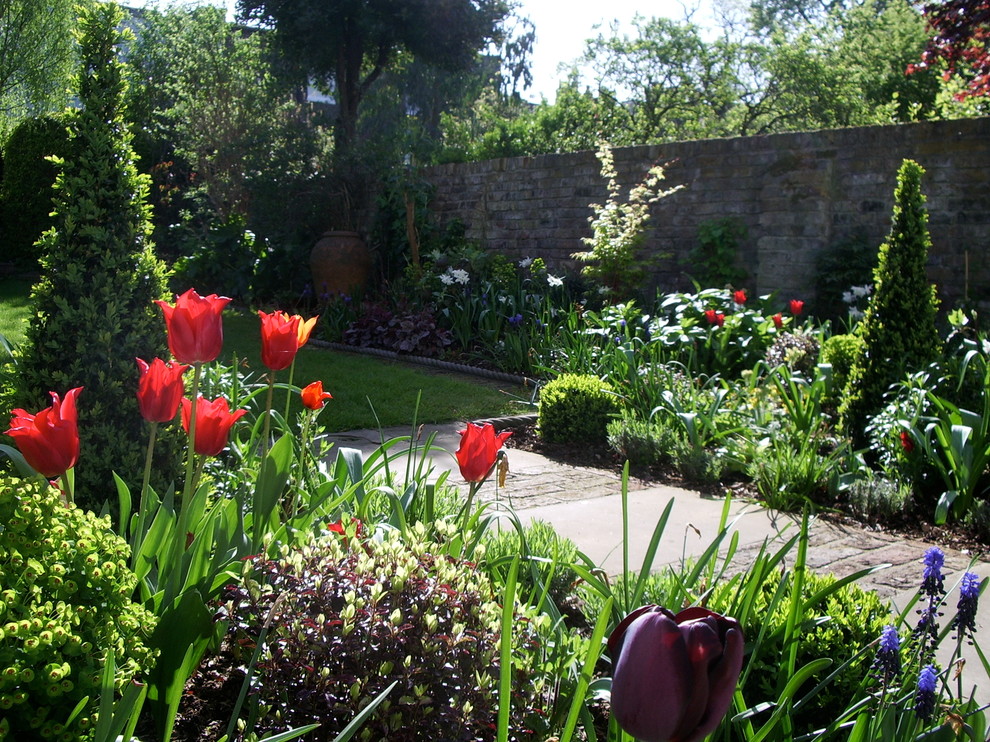 Свежая идея для дизайна: участок и сад на заднем дворе в современном стиле с полуденной тенью - отличное фото интерьера