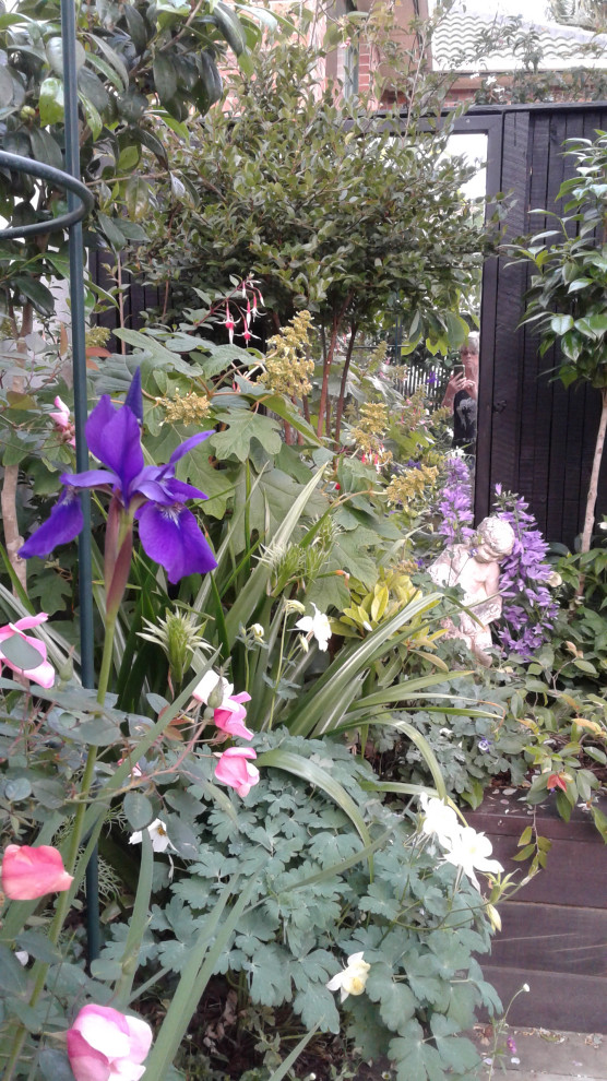 Geometrischer, Kleiner Klassischer Garten im Innenhof mit Blumenbeet und Dielen in Auckland