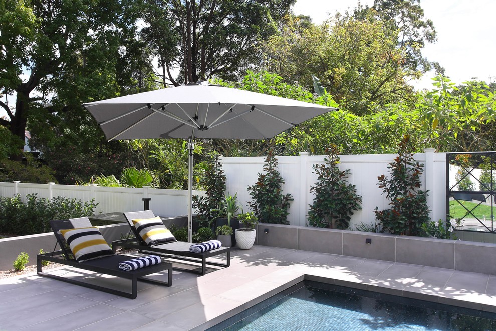 На фото: большой летний регулярный сад на заднем дворе в современном стиле с полуденной тенью и покрытием из каменной брусчатки с