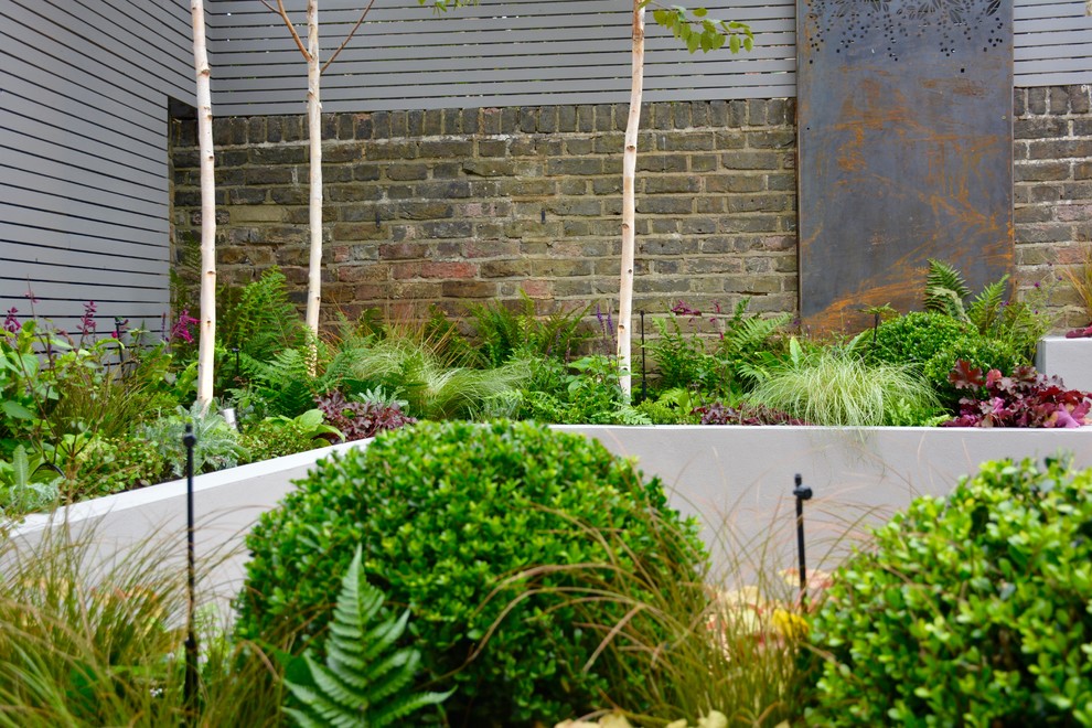 This is an example of a small contemporary back partial sun garden in London.