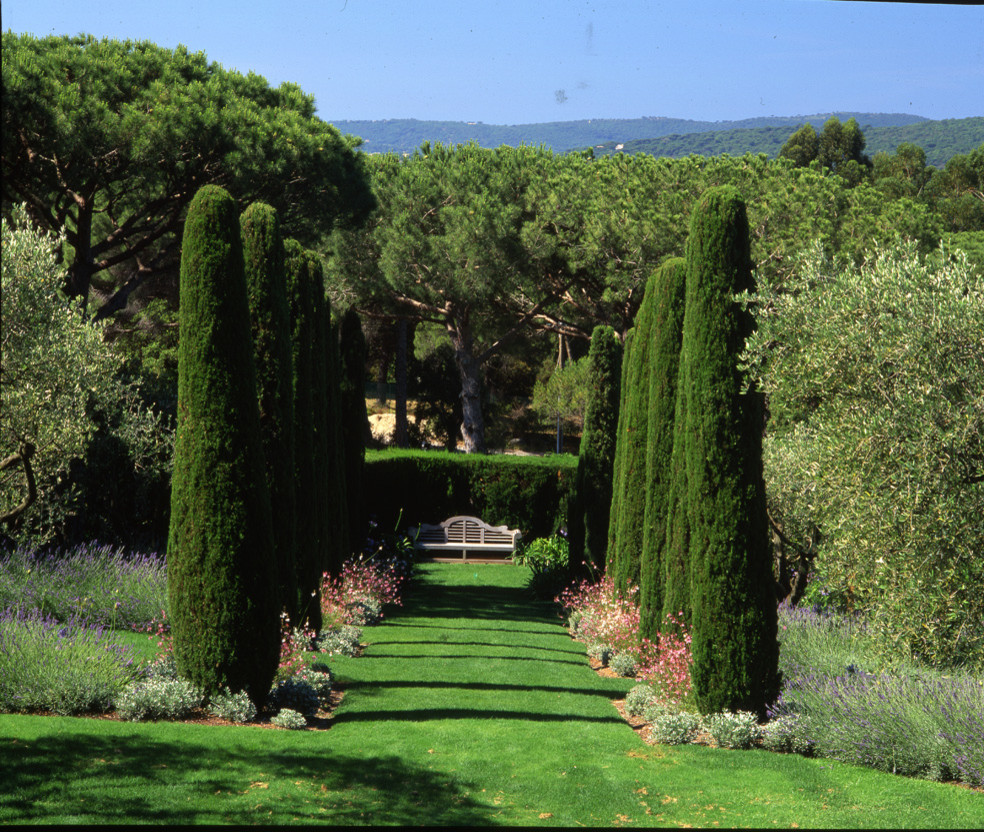 Cette image montre un jardin méditerranéen.