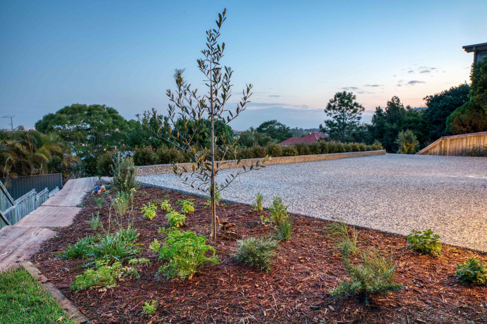 Immagine di un giardino minimal esposto in pieno sole con pavimentazioni in cemento
