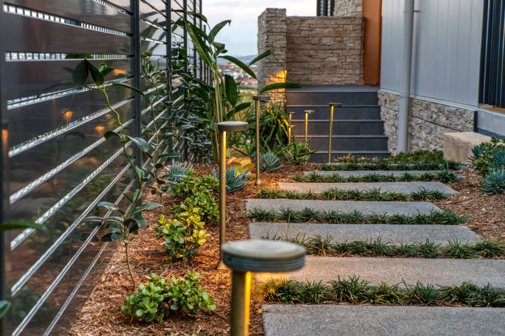 Cette image montre un jardin design avec une exposition ensoleillée et des pavés en béton.
