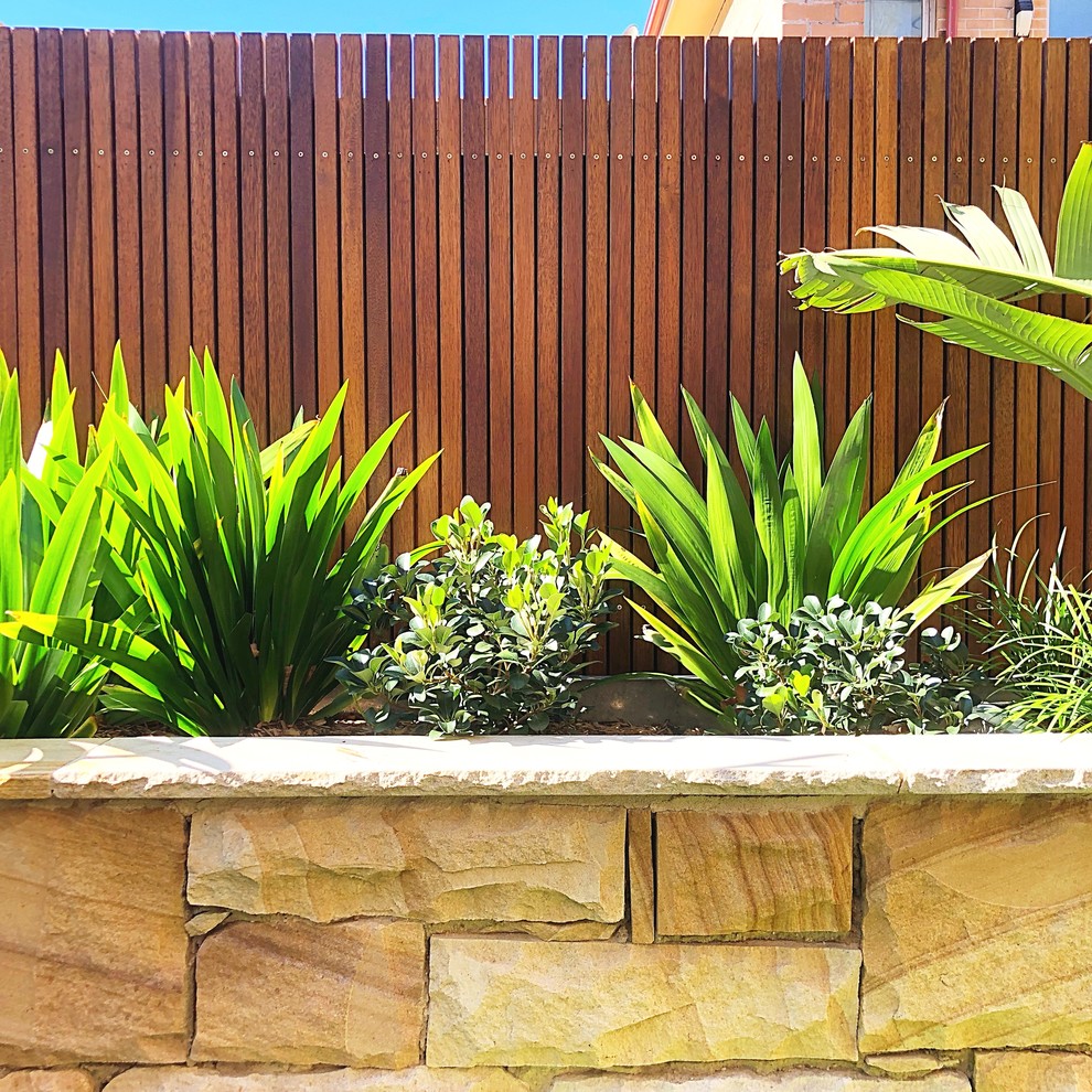 Small modern courtyard full sun garden for spring in Sydney with natural stone paving.