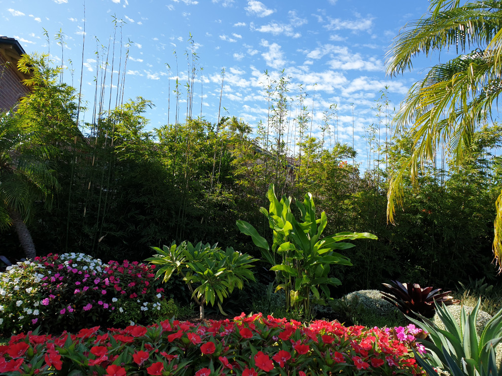 Ispirazione per un giardino tropicale esposto in pieno sole dietro casa con pavimentazioni in pietra naturale