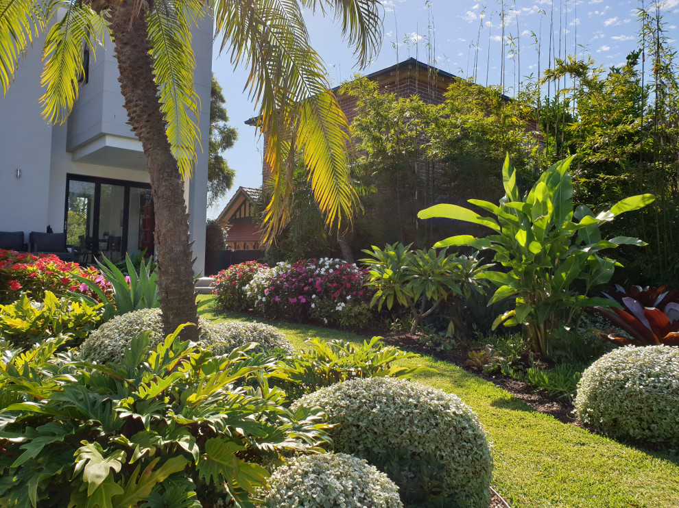 Diseño de jardín exótico en patio trasero con exposición total al sol y adoquines de piedra natural