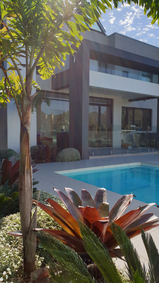 Immagine di un giardino tropicale esposto in pieno sole dietro casa con pavimentazioni in pietra naturale