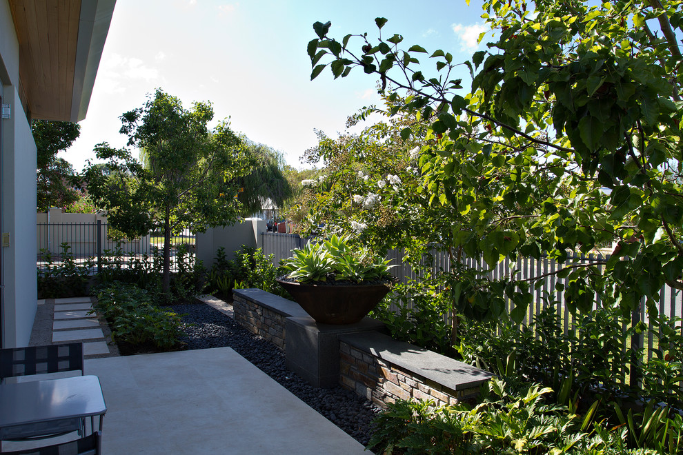 This is an example of a contemporary garden in Perth.