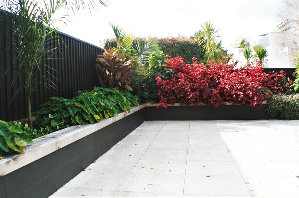 This is an example of a small tropical partial sun front yard landscaping in Auckland for summer.