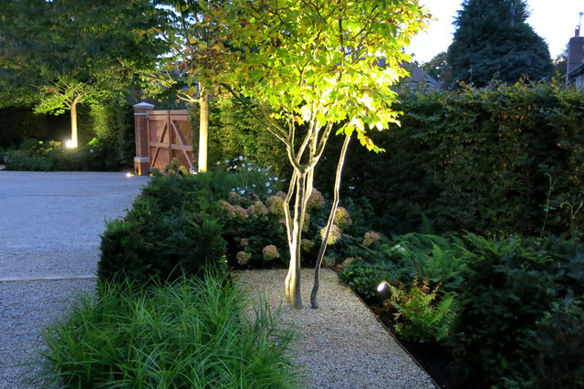 New garden design in Ascot — Charlotte Rowe