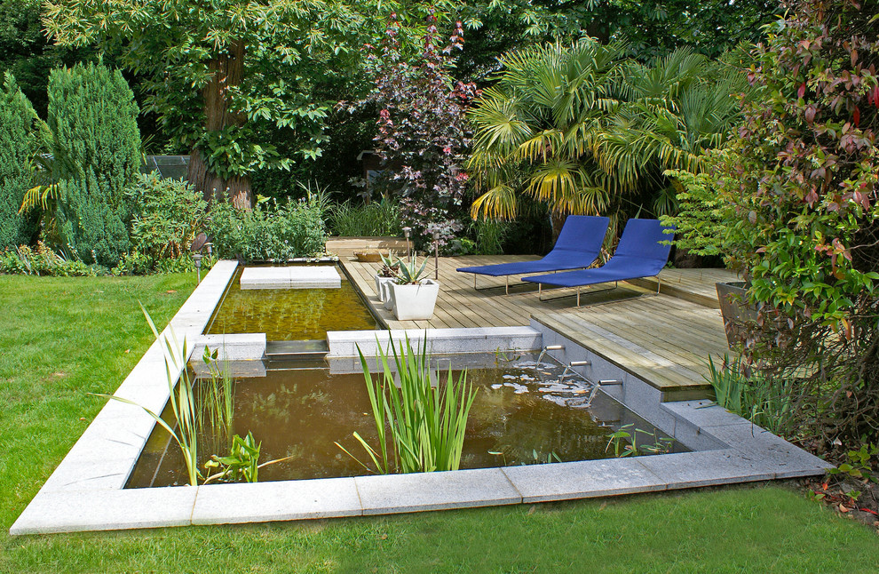 Aménagement d'un jardin contemporain avec un point d'eau, une exposition ensoleillée et une terrasse en bois.