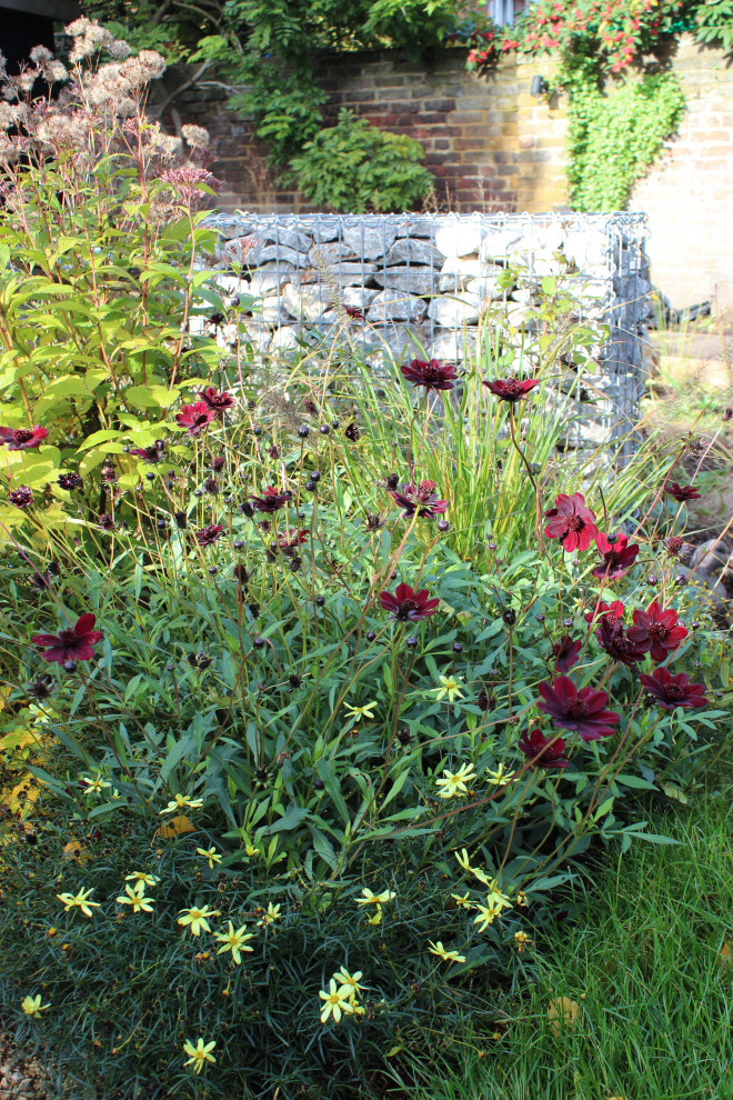 Réalisation d'un petit jardin arrière minimaliste l'été avec une exposition ensoleillée et un massif de fleurs.