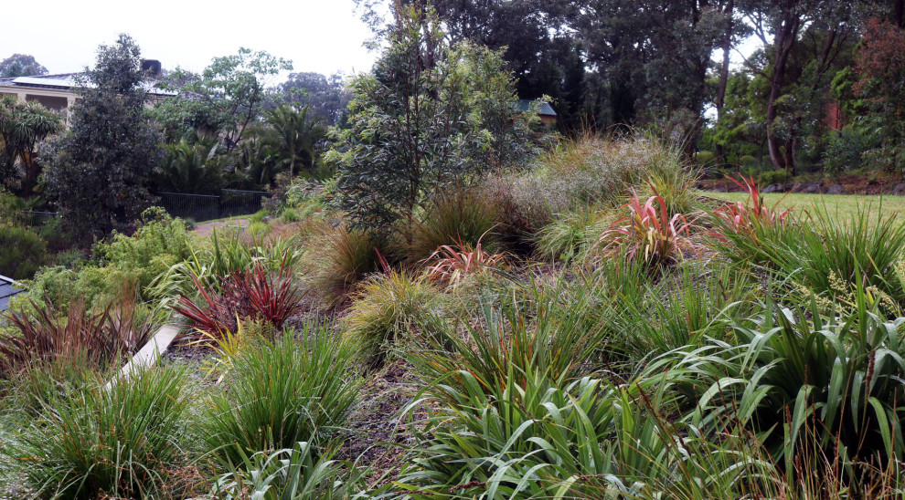 Foto di un grande giardino xeriscape contemporaneo esposto in pieno sole con un pendio, una collina o una riva