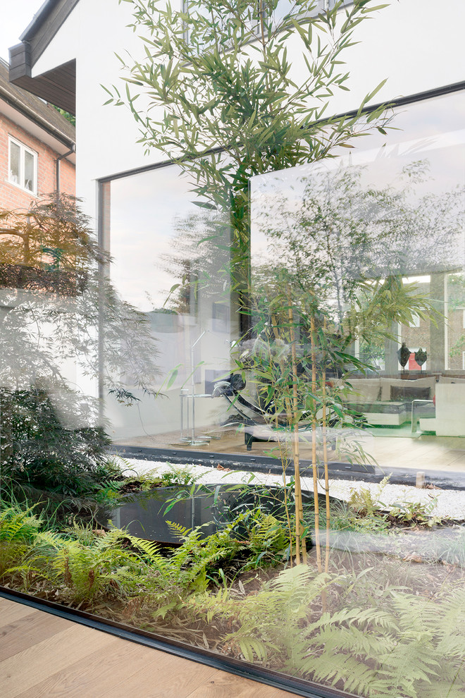 Design ideas for a contemporary front garden in London.