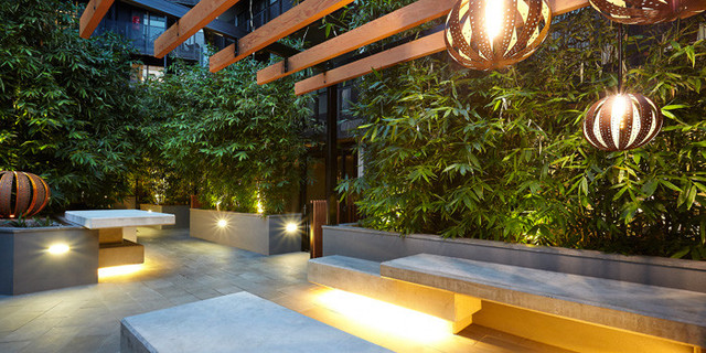 The Bamboo Courtyard Modern Garden Melbourne By Lisa Ellis Gardens Houzz