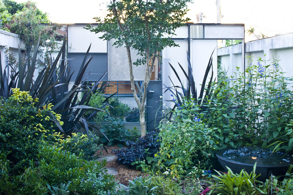This is an example of a contemporary garden in Sydney with a water feature.
