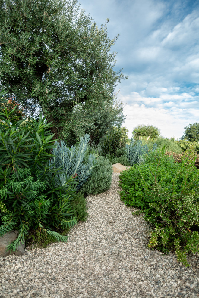 Immagine di un piccolo giardino xeriscape mediterraneo esposto in pieno sole in estate con fontane e ghiaia