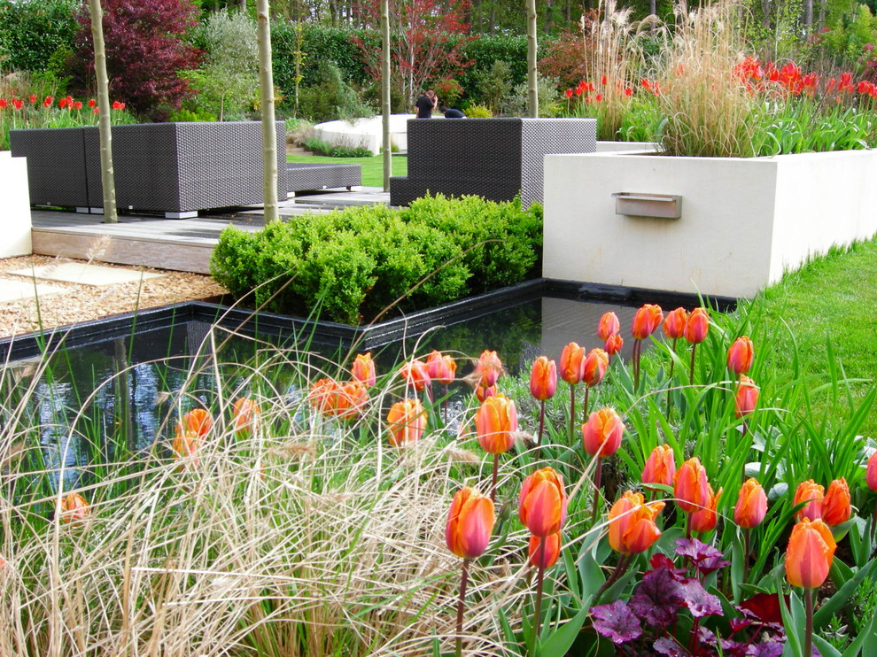Свежая идея для дизайна: большой солнечный регулярный сад на заднем дворе в современном стиле с хорошей освещенностью и мощением тротуарной плиткой - отличное фото интерьера
