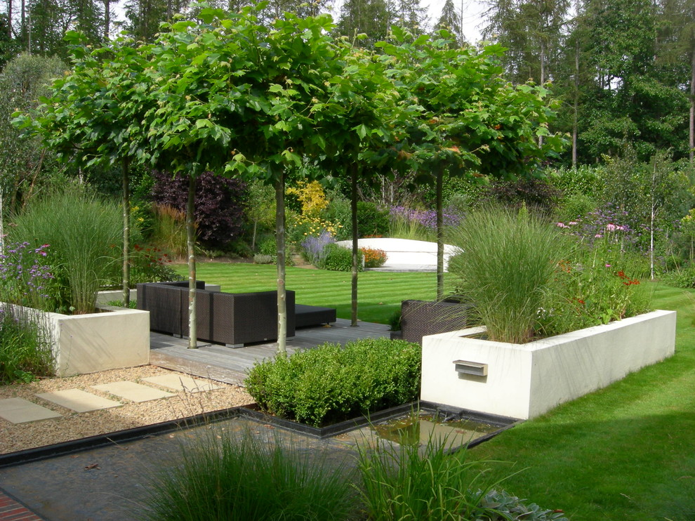 Пример оригинального дизайна: большой солнечный регулярный сад на заднем дворе в современном стиле с хорошей освещенностью и мощением тротуарной плиткой