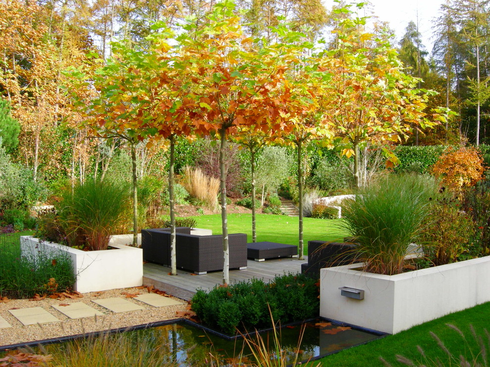 Großer, Geometrischer Moderner Garten hinter dem Haus mit direkter Sonneneinstrahlung und Betonboden in Surrey