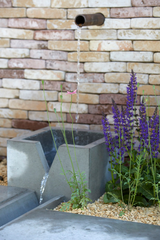 Inspiration pour un petit jardin design au printemps avec un point d'eau, une exposition ensoleillée et des pavés en béton.