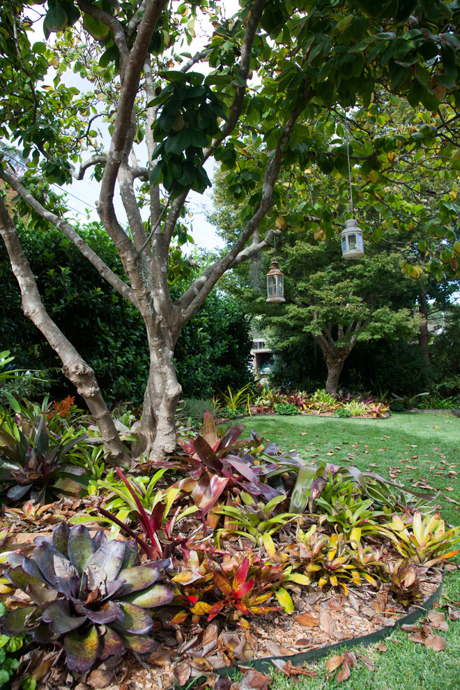 Foto di un ampio giardino contemporaneo esposto a mezz'ombra davanti casa con un giardino in vaso e pacciame