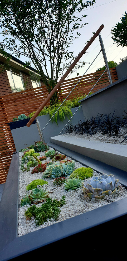 Immagine di un giardino design con un muro di contenimento e pavimentazioni in pietra naturale