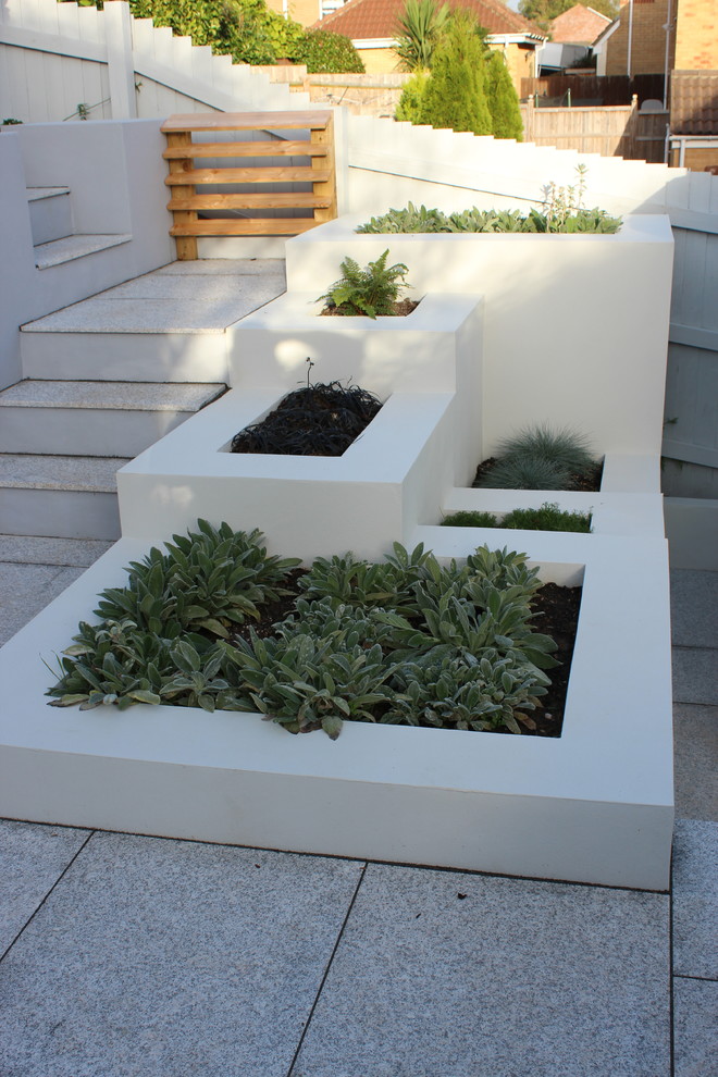 Ejemplo de jardín actual de tamaño medio en verano en patio trasero con muro de contención, exposición parcial al sol y adoquines de piedra natural
