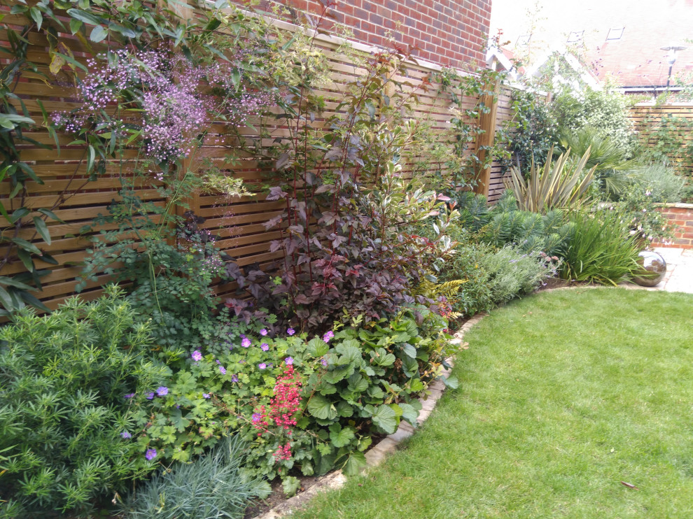 Kleiner Klassischer Garten hinter dem Haus mit Hochbeet in Surrey