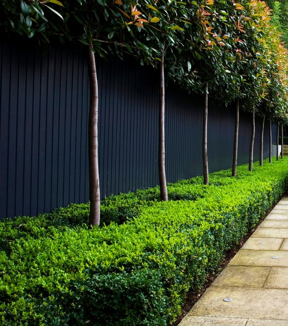 Make Your Garden Fences Disappear With This Surprising Color