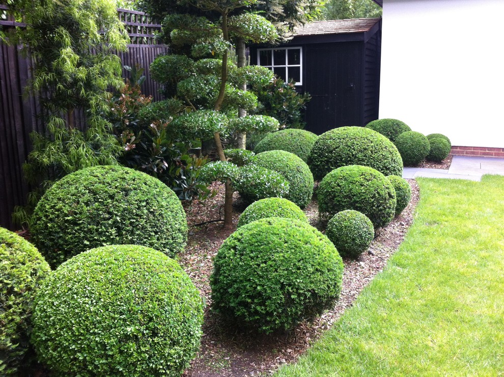 Photo of a contemporary landscaping in Sussex.