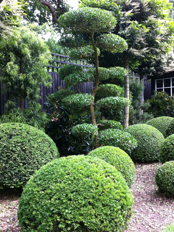 Moderner Garten in Sussex