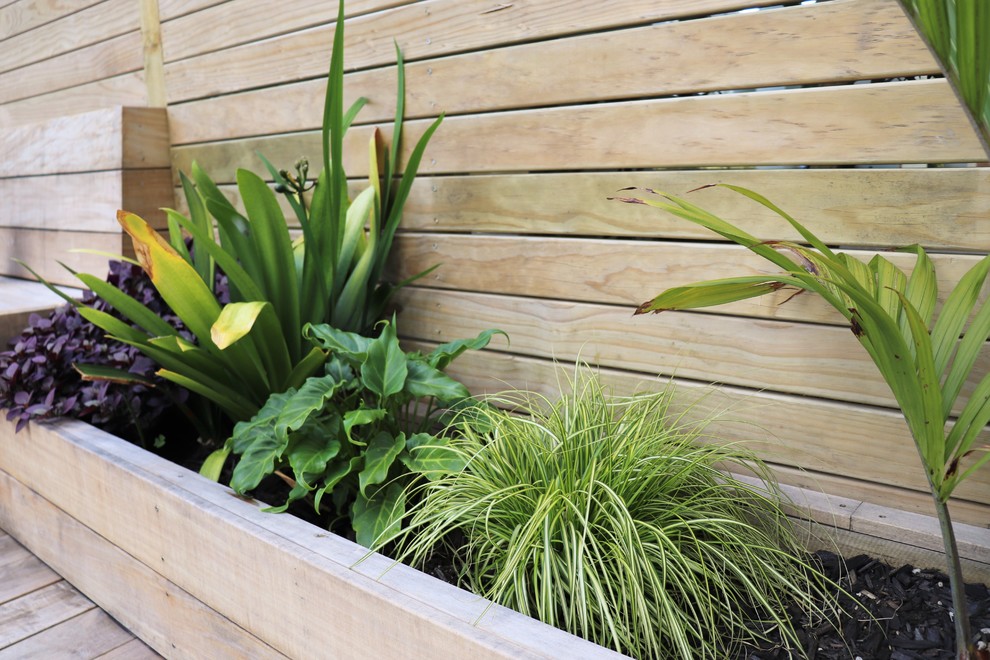 Ispirazione per un piccolo giardino minimal esposto in pieno sole davanti casa con pedane