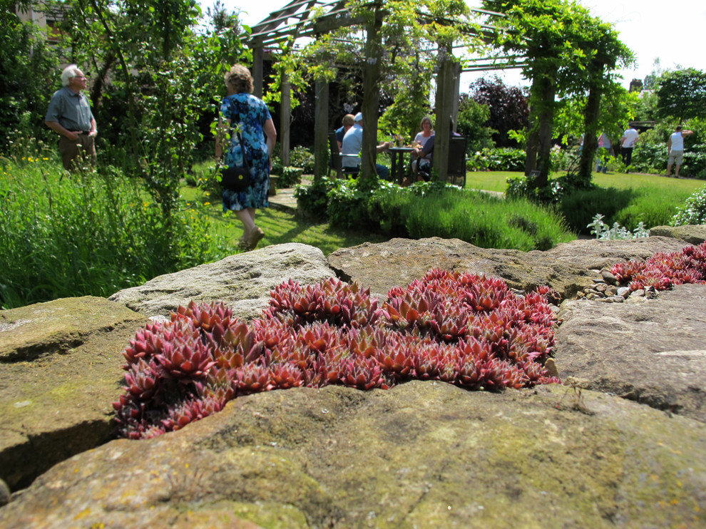 Esempio di un giardino rustico esposto a mezz'ombra di medie dimensioni in estate