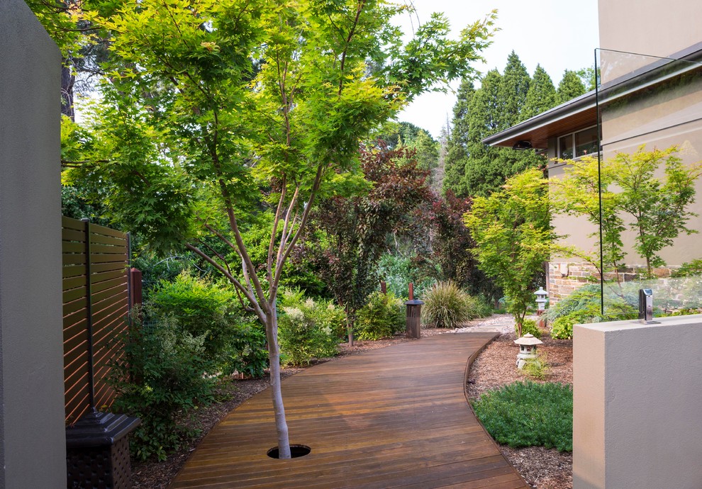 Photo of a large contemporary backyard landscaping in Adelaide.
