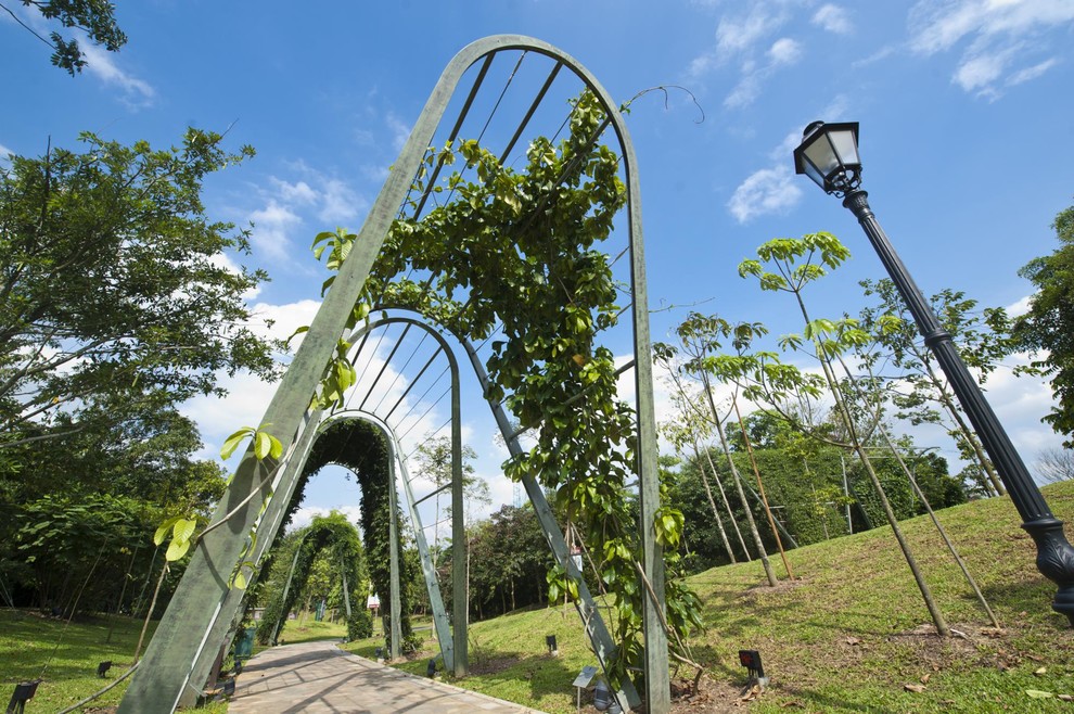 シンガポールにあるコンテンポラリースタイルのおしゃれな庭の写真