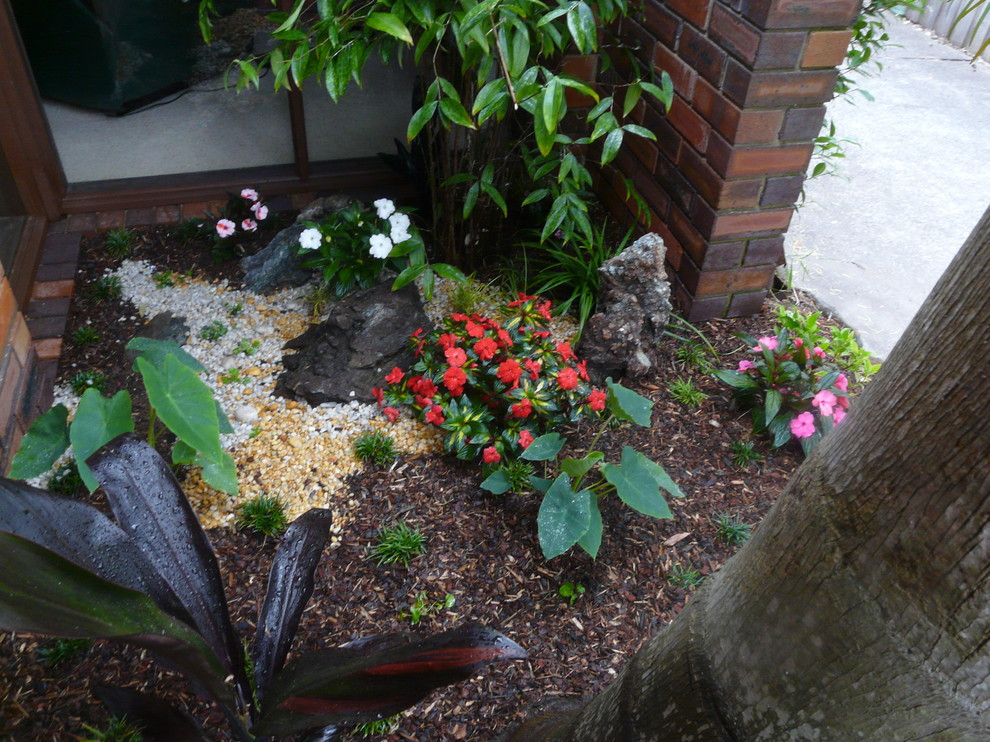 Idee per un piccolo giardino tropicale in ombra nel cortile laterale