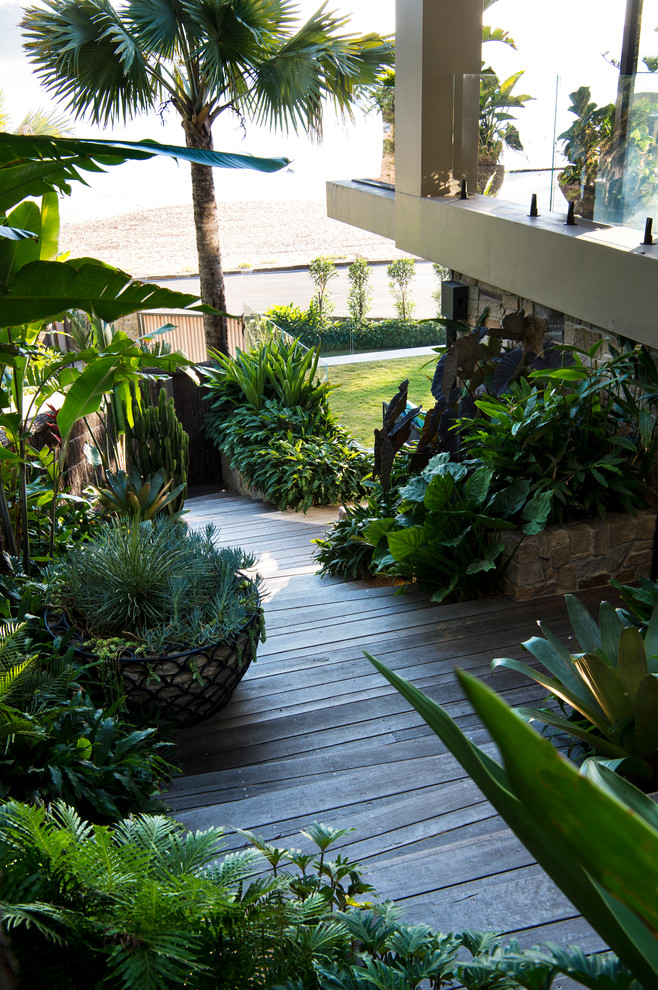 Esempio di un grande giardino formale tropicale esposto in pieno sole nel cortile laterale in primavera con un ingresso o sentiero e pedane