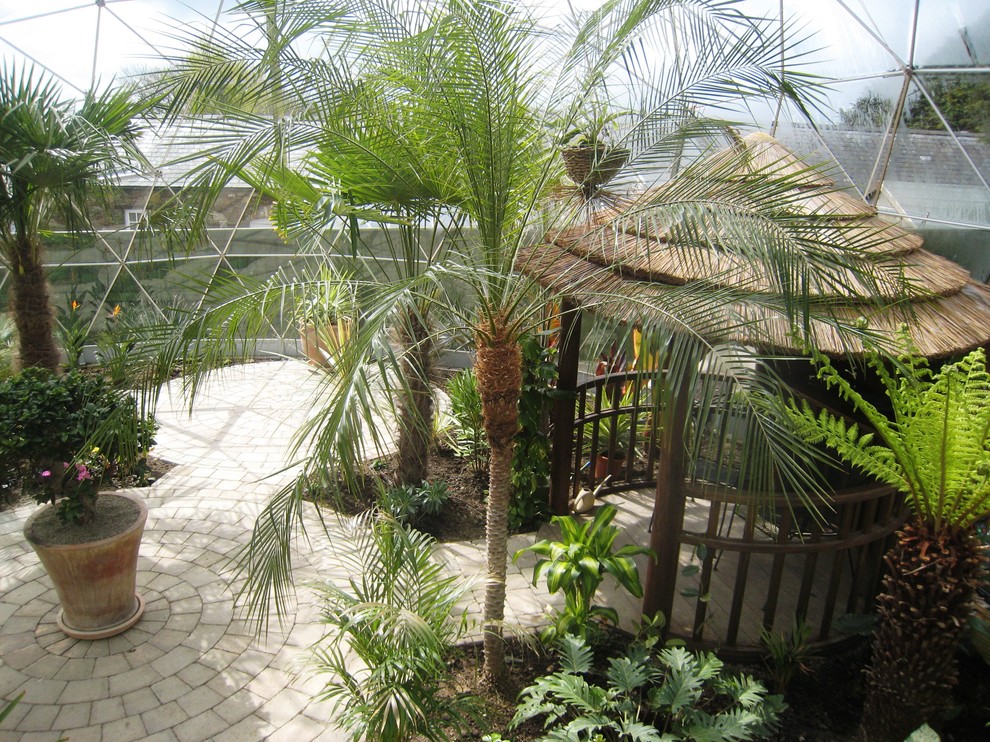 Esempio di un giardino tropicale di medie dimensioni