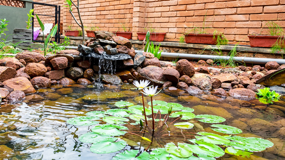 Ispirazione per un giardino tropicale