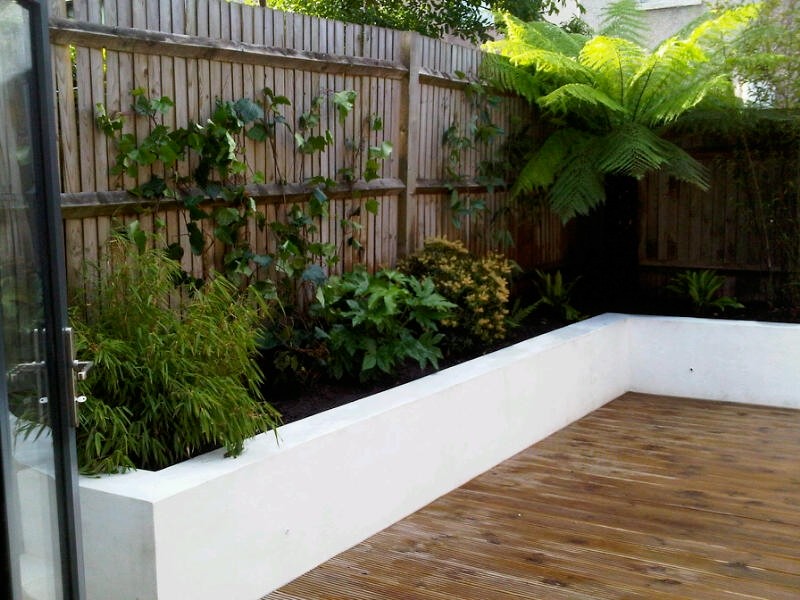 Ispirazione per un piccolo giardino tropicale esposto a mezz'ombra in cortile in estate