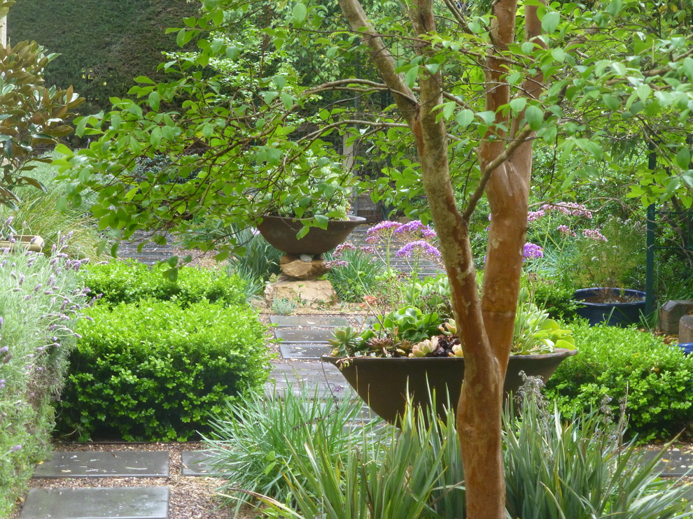 Inspiration for a mediterranean front yard landscaping in Adelaide.