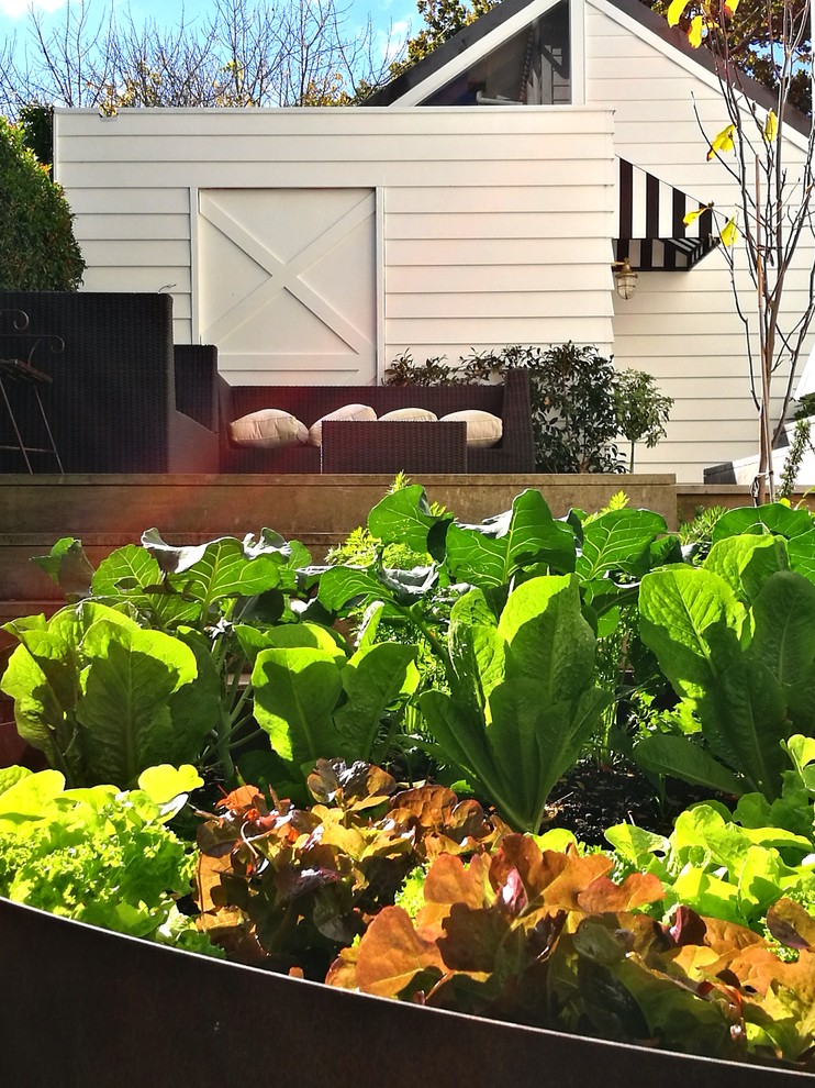 Großer Moderner Gemüsegarten neben dem Haus mit Dielen in Auckland