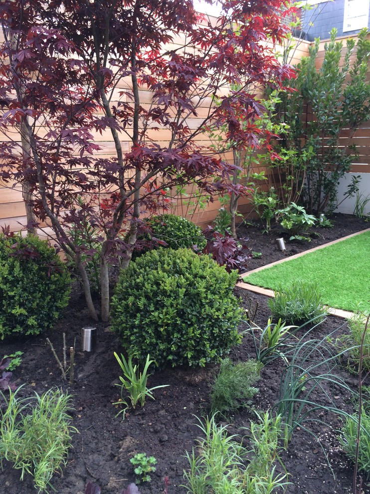 Photo of a small contemporary landscaping in London.