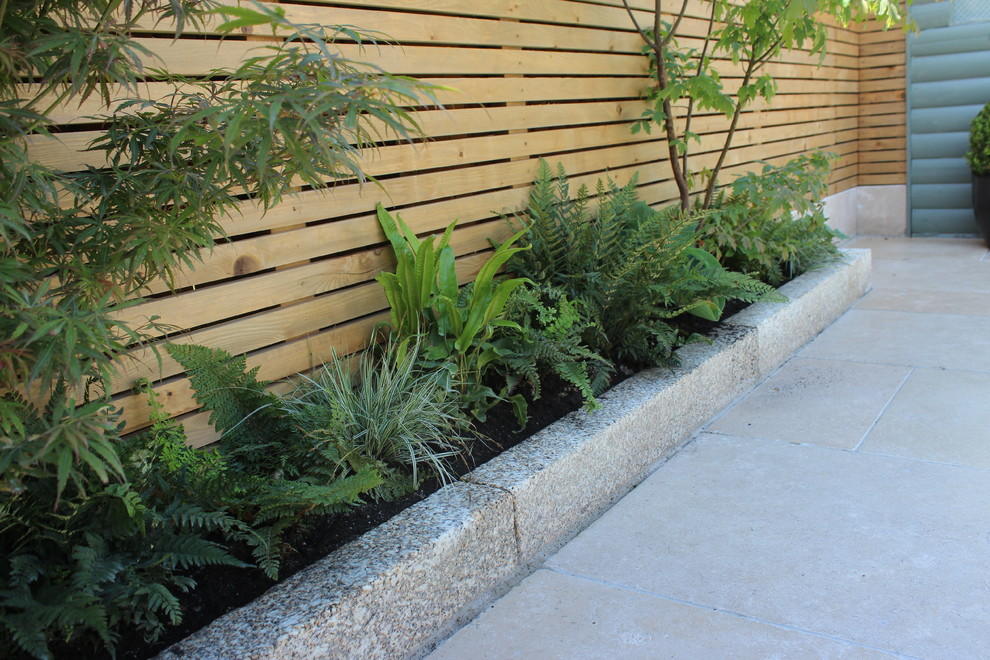 Foto di un piccolo giardino formale minimal esposto in pieno sole dietro casa in estate con un ingresso o sentiero, pavimentazioni in pietra naturale e recinzione in legno