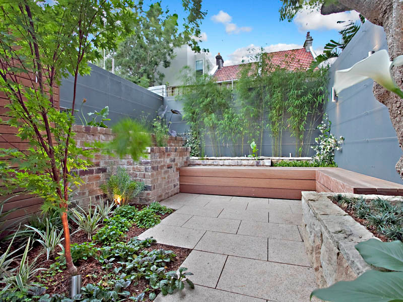Kleiner Moderner Garten im Innenhof in Sydney
