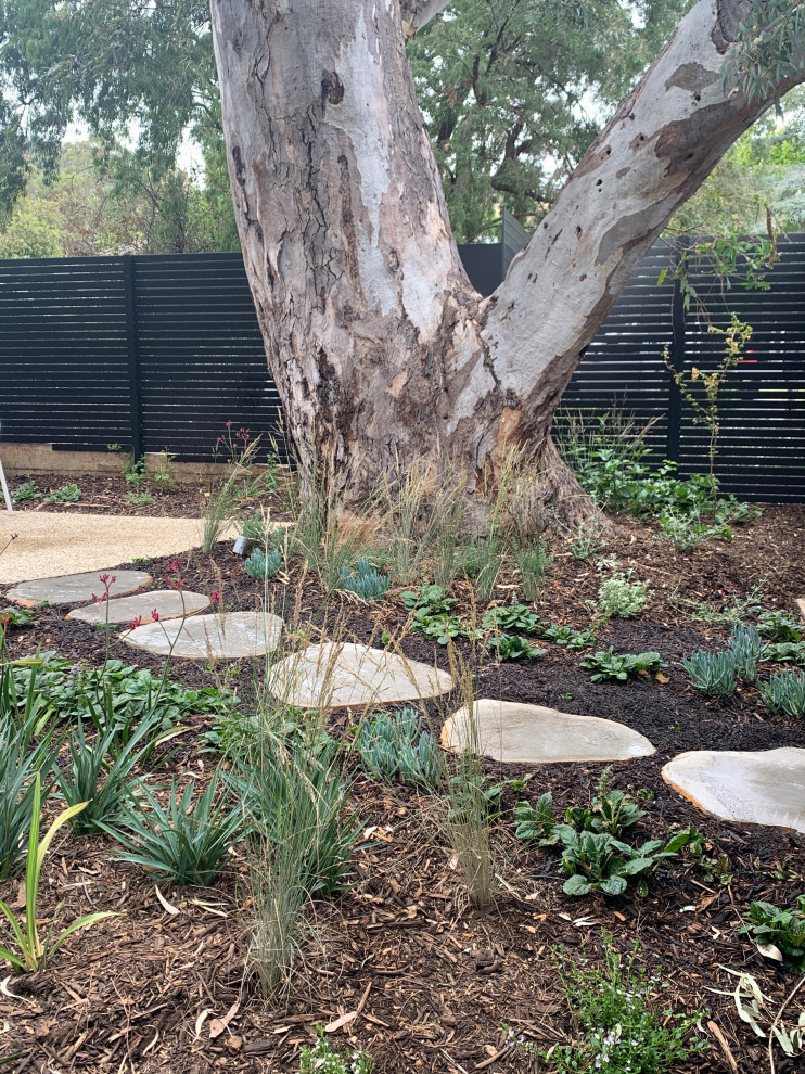 Foto di un giardino xeriscape moderno esposto a mezz'ombra di medie dimensioni e in cortile in primavera con un ingresso o sentiero e pavimentazioni in pietra naturale