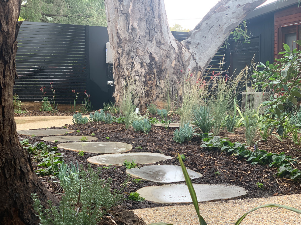 Imagen de camino de jardín de secano vintage de tamaño medio en primavera en patio con exposición parcial al sol y adoquines de piedra natural