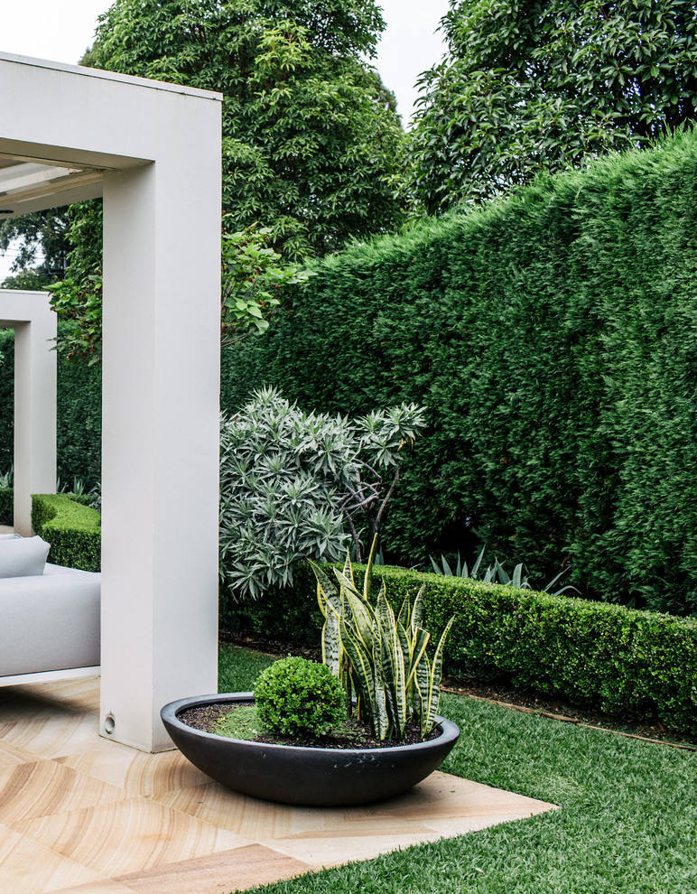 Immagine di un giardino classico esposto a mezz'ombra di medie dimensioni e dietro casa in primavera con un giardino in vaso e pavimentazioni in pietra naturale