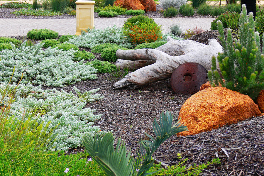 Verge Garden - Landscape - Perth - by Sustainable Outdoors
